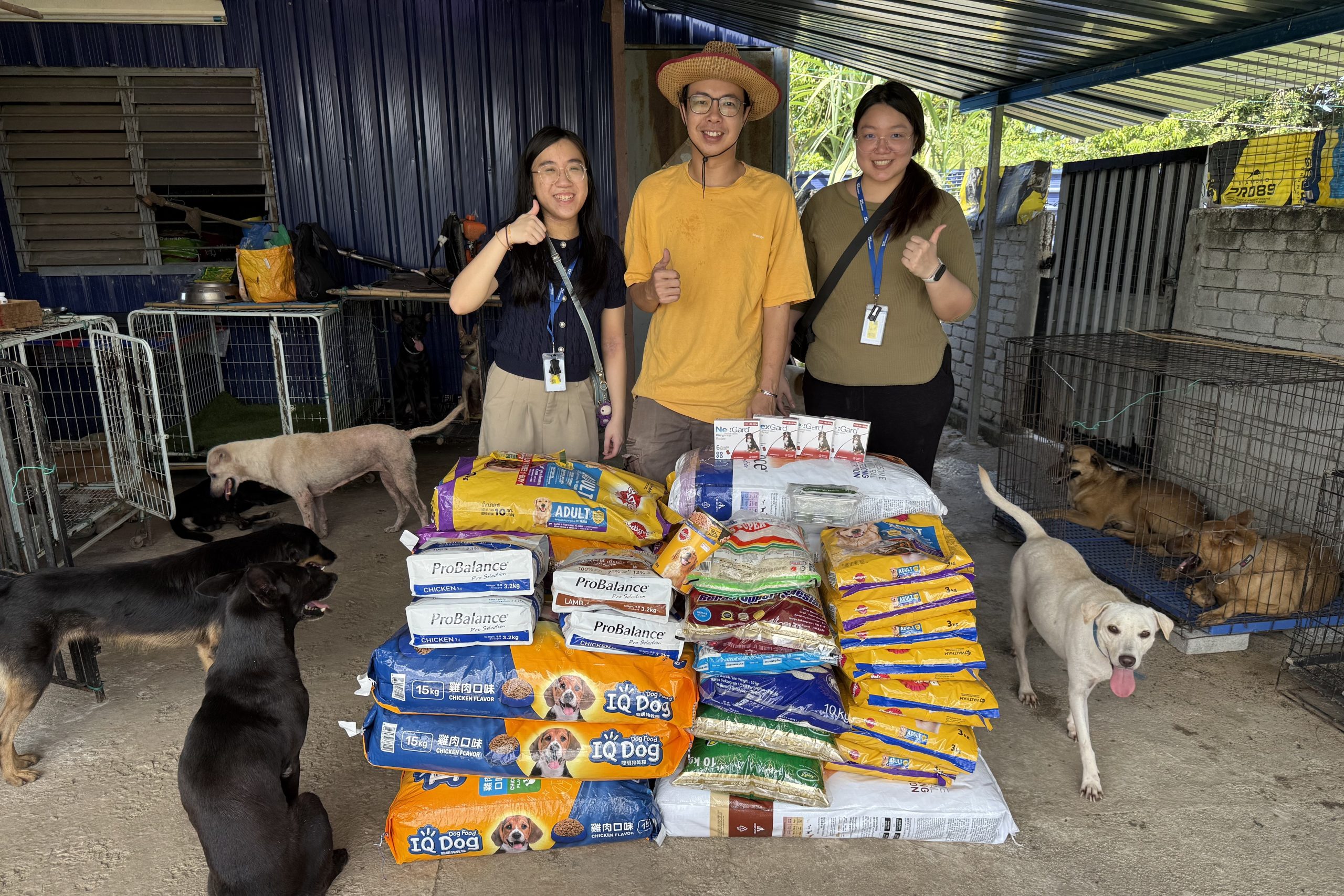 Animal Shelter Donation